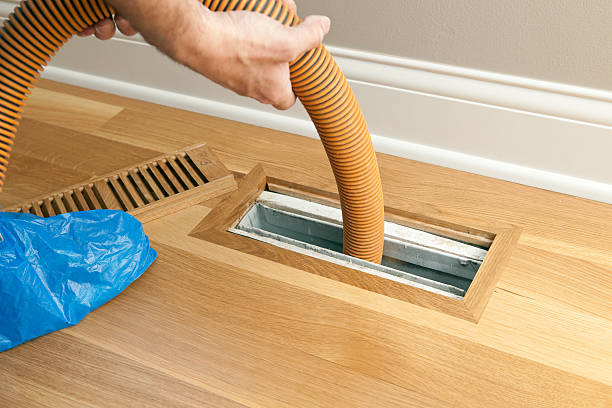 Best Affordable Air Duct Cleaning  in Mapleton, ND